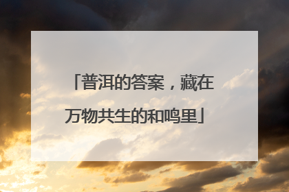普洱的答案，藏在万物共生的和鸣里