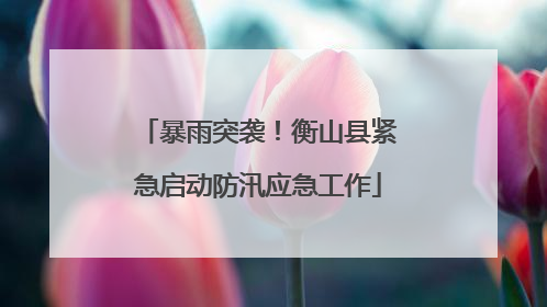 暴雨突袭！衡山县紧急启动防汛应急工作