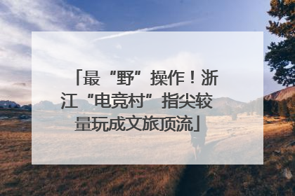 最“野”操作！浙江“电竞村”指尖较量玩成文旅顶流