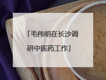 毛伟明在长沙调研中医药工作