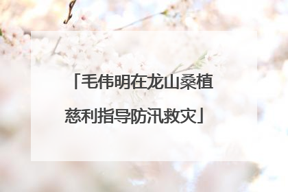 毛伟明在龙山桑植慈利指导防汛救灾