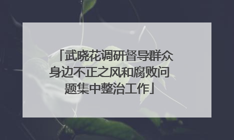 武晓花调研督导群众身边不正之风和腐败问题集中整治工作