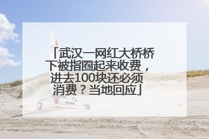 武汉一网红大桥桥下被指圈起来收费，进去100块还必须消费？当地回应