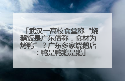 武汉一高校食堂称“烧鹅饭是广东俗称，食材为烤鸭”？广东多家烧鹅店：鸭是鸭鹅是鹅