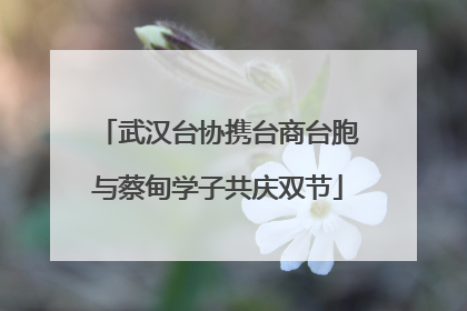 武汉台协携台商台胞与蔡甸学子共庆双节