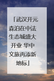 武汉开元森泊在中法生态城盛大开业 华中文旅再添新地标