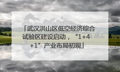 武汉洪山区低空经济综合试验区建设启动，“1+4+1”产业布局初现