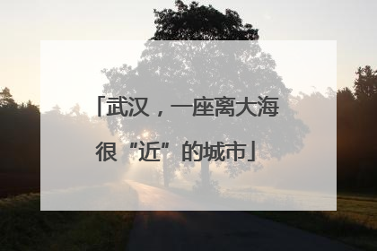 武汉，一座离大海很“近”的城市