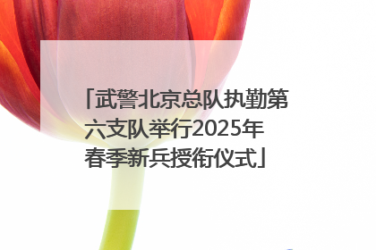 武警北京总队执勤第六支队举行2025年春季新兵授衔仪式