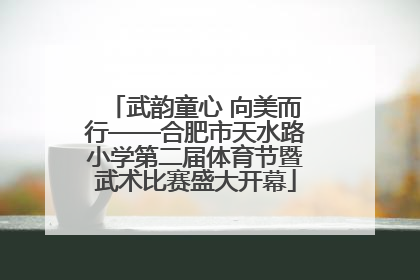 武韵童心 向美而行——合肥市天水路小学第二届体育节暨武术比赛盛大开幕