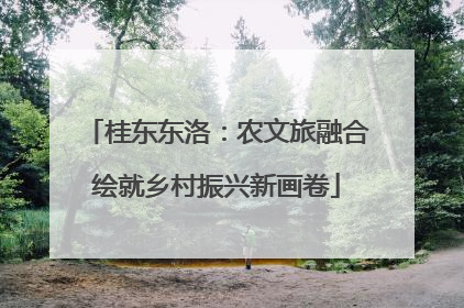 桂东东洛：农文旅融合绘就乡村振兴新画卷