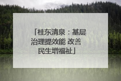 桂东清泉：基层治理提效能 改善民生增福祉