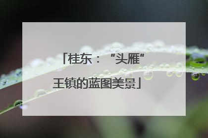 桂东：“头雁”王镇的蓝图美景