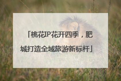 桃花IP花开四季，肥城打造全域旅游新标杆