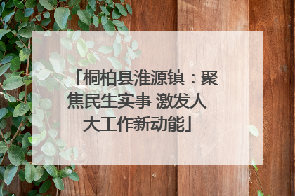 桐柏县淮源镇：聚焦民生实事 激发人大工作新动能