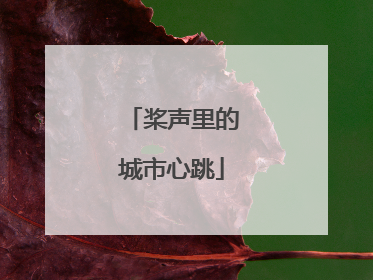 桨声里的城市心跳