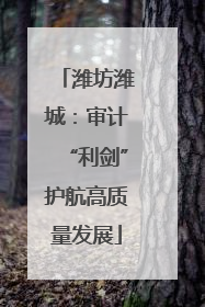 潍坊潍城：审计“利剑”护航高质量发展
