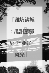 潍坊诸城：瓜甜葱郁处 产业好风光