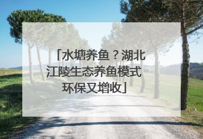 水塘养鱼？湖北江陵生态养鱼模式环保又增收