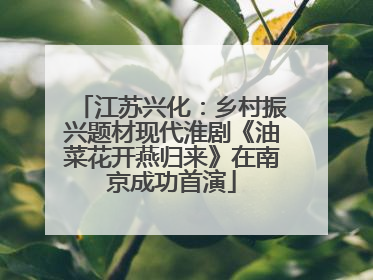 江苏兴化：乡村振兴题材现代淮剧《油菜花开燕归来》在南京成功首演