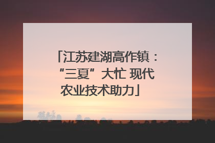 江苏建湖高作镇：“三夏”大忙 现代农业技术助力