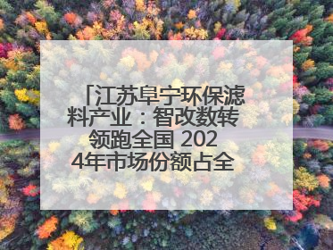 江苏阜宁环保滤料产业：智改数转领跑全国 2024年市场份额占全国三分之一