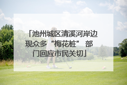 池州城区清溪河岸边现众多“梅花桩” 部门回应市民关切