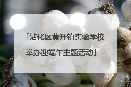 沾化区黄升镇实验学校举办迎端午主题活动