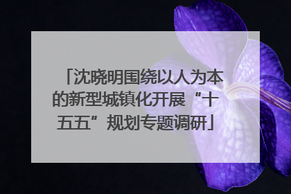 沈晓明围绕以人为本的新型城镇化开展“十五五”规划专题调研