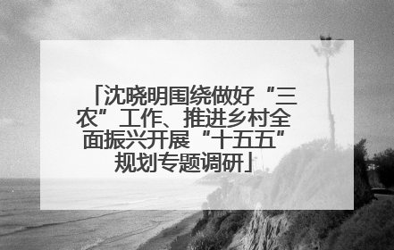 沈晓明围绕做好“三农”工作、推进乡村全面振兴开展“十五五”规划专题调研