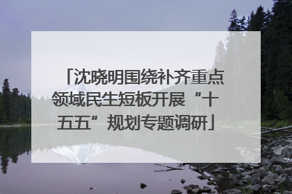 沈晓明围绕补齐重点领域民生短板开展“十五五”规划专题调研