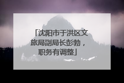沈阳市于洪区文旅局副局长彭勃，职务有调整