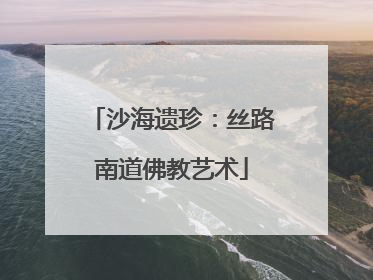 沙海遗珍：丝路南道佛教艺术