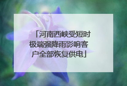 河南西峡受短时极端强降雨影响客户全部恢复供电