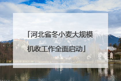 河北省冬小麦大规模机收工作全面启动