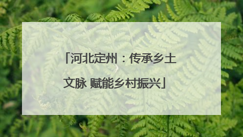 河北定州：传承乡土文脉 赋能乡村振兴