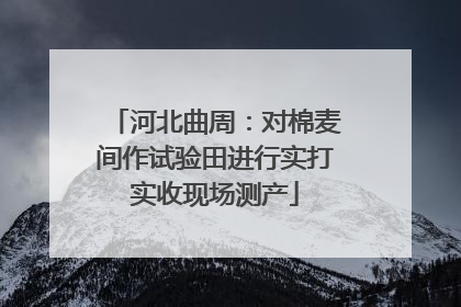 河北曲周：对棉麦间作试验田进行实打实收现场测产
