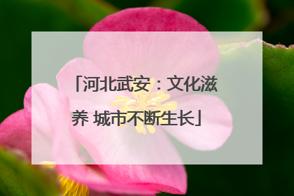 河北武安：文化滋养 城市不断生长