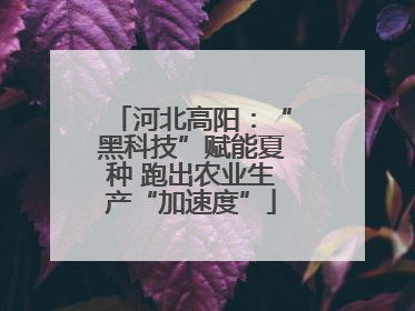河北高阳：“黑科技”赋能夏种 跑出农业生产“加速度”