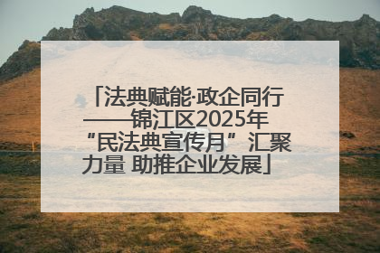 法典赋能·政企同行——锦江区2025年“民法典宣传月”汇聚力量 助推企业发展