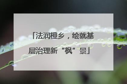 法润橙乡，绘就基层治理新“枫”景