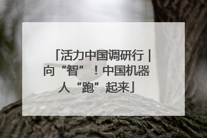 活力中国调研行｜向“智”！中国机器人“跑”起来