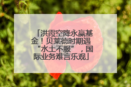 洪霞空降永赢基金！贝莱德时期遇“水土不服”，国际业务难言乐观