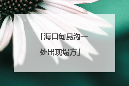 海口甸昆沟一处出现塌方