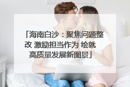 海南白沙：聚焦问题整改 激励担当作为 绘就高质量发展新图景