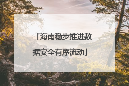 海南稳步推进数据安全有序流动