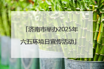 济南市举办2025年六五环境日宣传活动