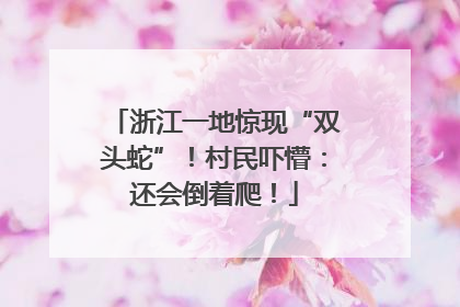 浙江一地惊现“双头蛇”！村民吓懵：还会倒着爬！