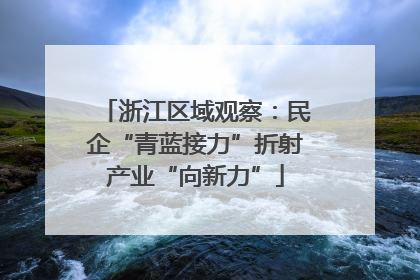 浙江区域观察：民企“青蓝接力”折射产业“向新力”