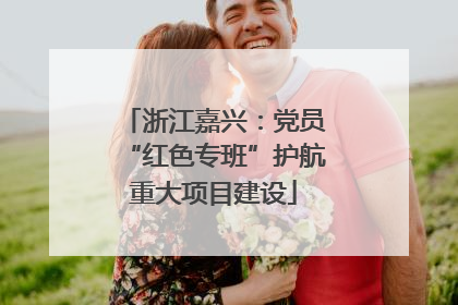 浙江嘉兴：党员“红色专班”护航重大项目建设